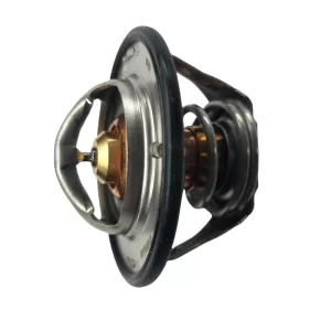 60287910 thermostat