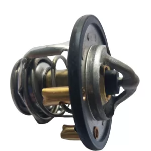 60311191 thermostat