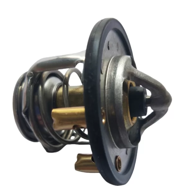 60311191 thermostat